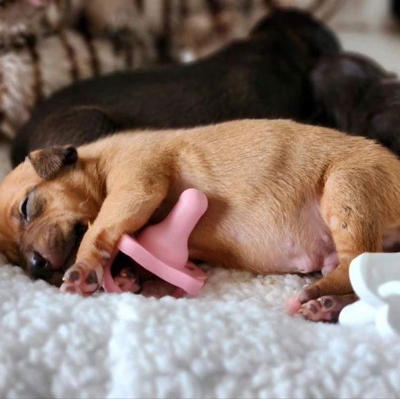 Meet your Posher, Bryn - Picture 8 of 17